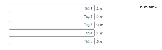 שדות שמות תגיות